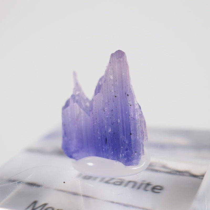 ����˥ҥ륺�� ���󥶥ʥ���