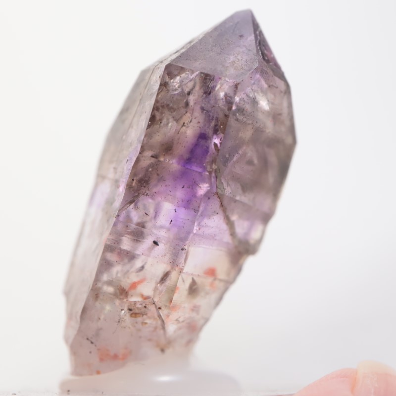 �֥��ɥС����� ���᥷����