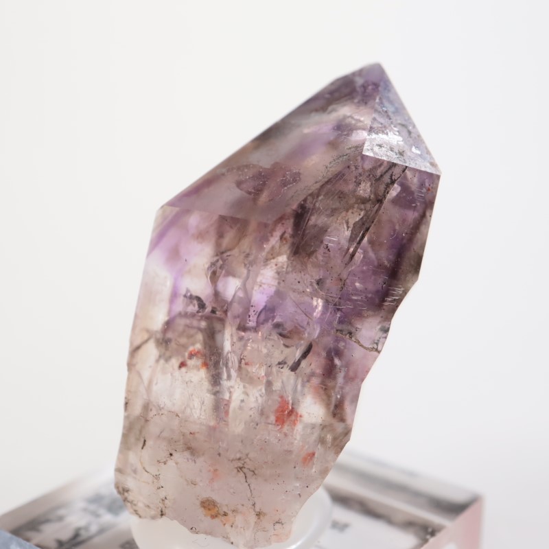 �֥��ɥС����� ���᥷����