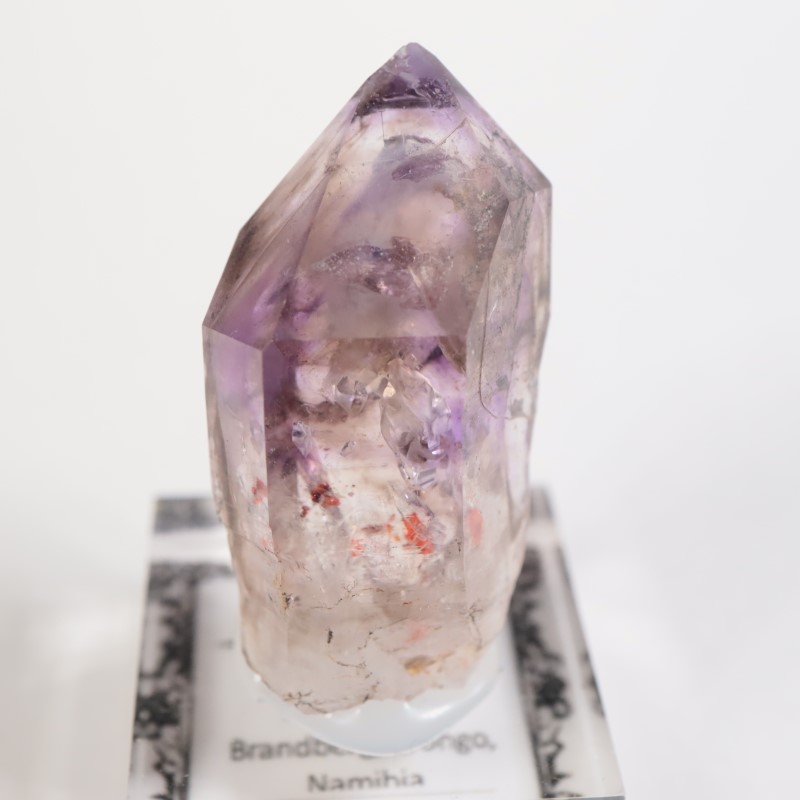 �֥��ɥС����� ���᥷����