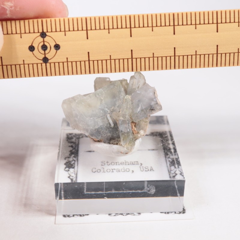 ������ɽ��� �Х饤��