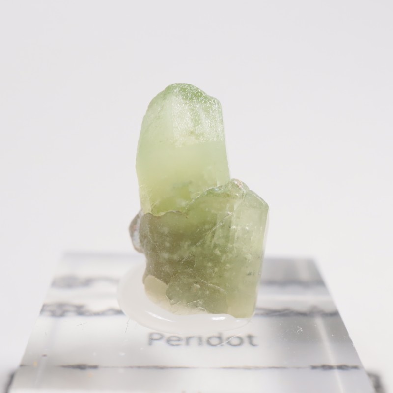 �ѥ������� �ڥ�ɥå�