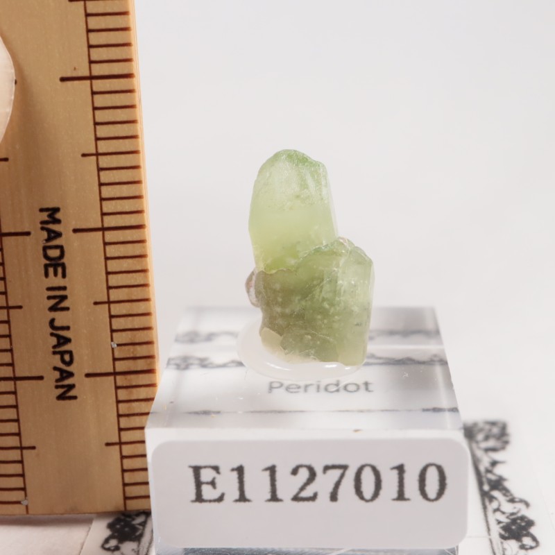 �ѥ������� �ڥ�ɥå�