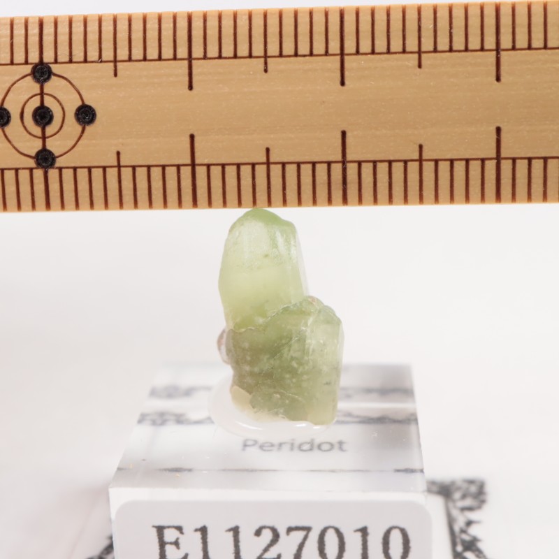 �ѥ������� �ڥ�ɥå�