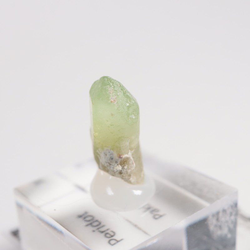 �ѥ������� �ڥ�ɥå�