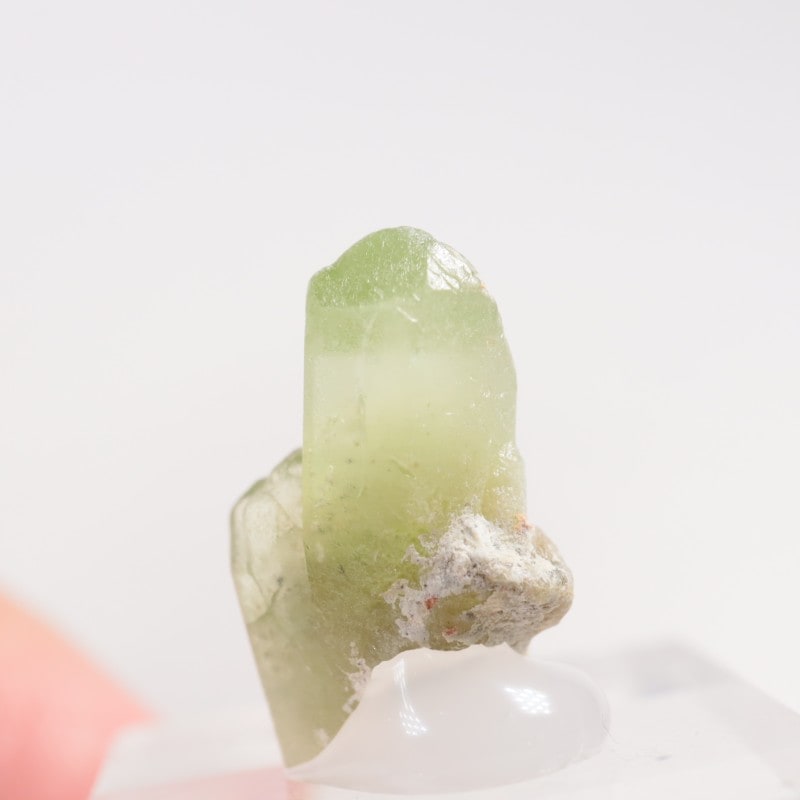 �ѥ������� �ڥ�ɥå�