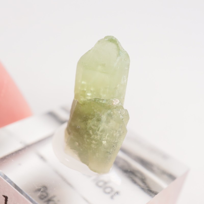 �ѥ������� �ڥ�ɥå�