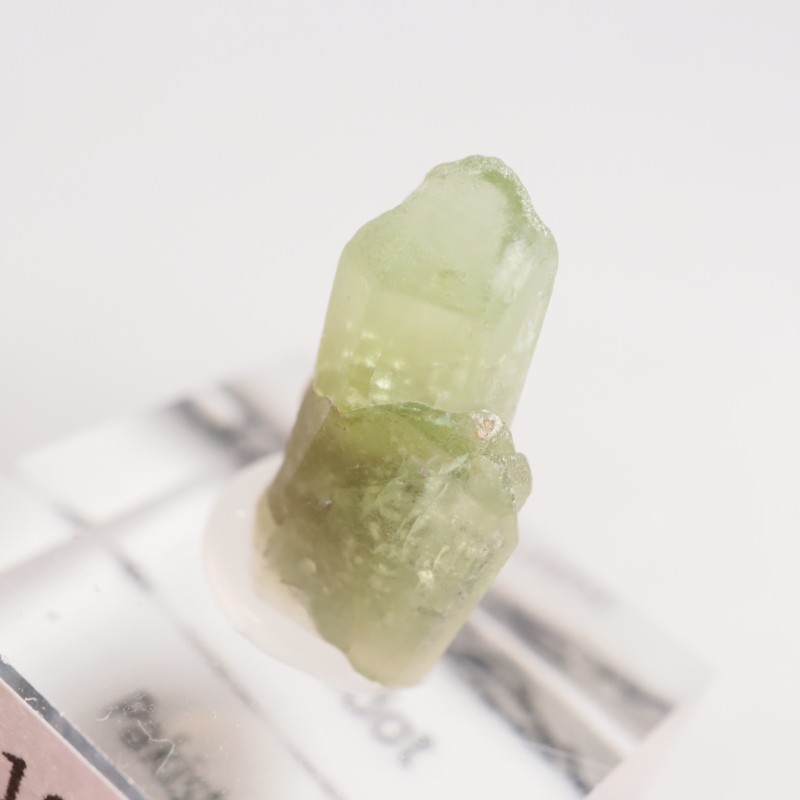 �ѥ������� �ڥ�ɥå�