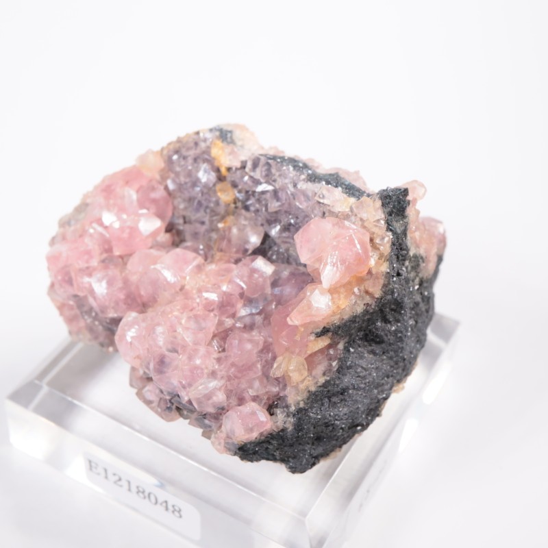 �ĥ�ֹۻ��� ���Х�ȥ��ߥ��ʥ���