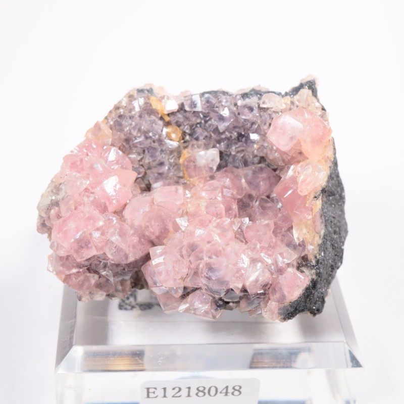 �ĥ�ֹۻ��� ���Х�ȥ��ߥ��ʥ���