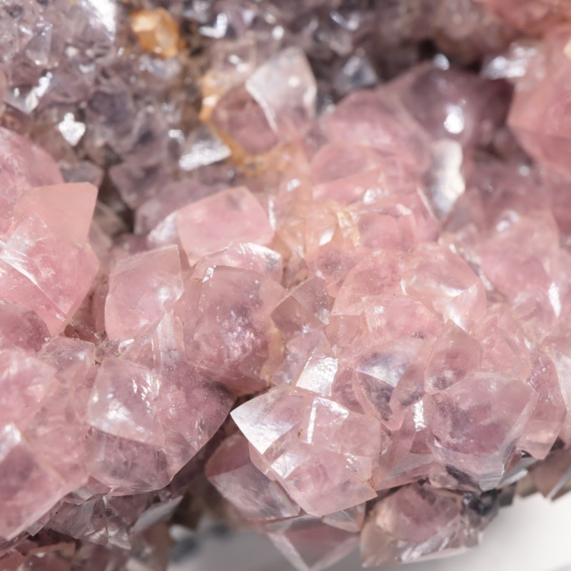 �ĥ�ֹۻ��� ���Х�ȥ��ߥ��ʥ���