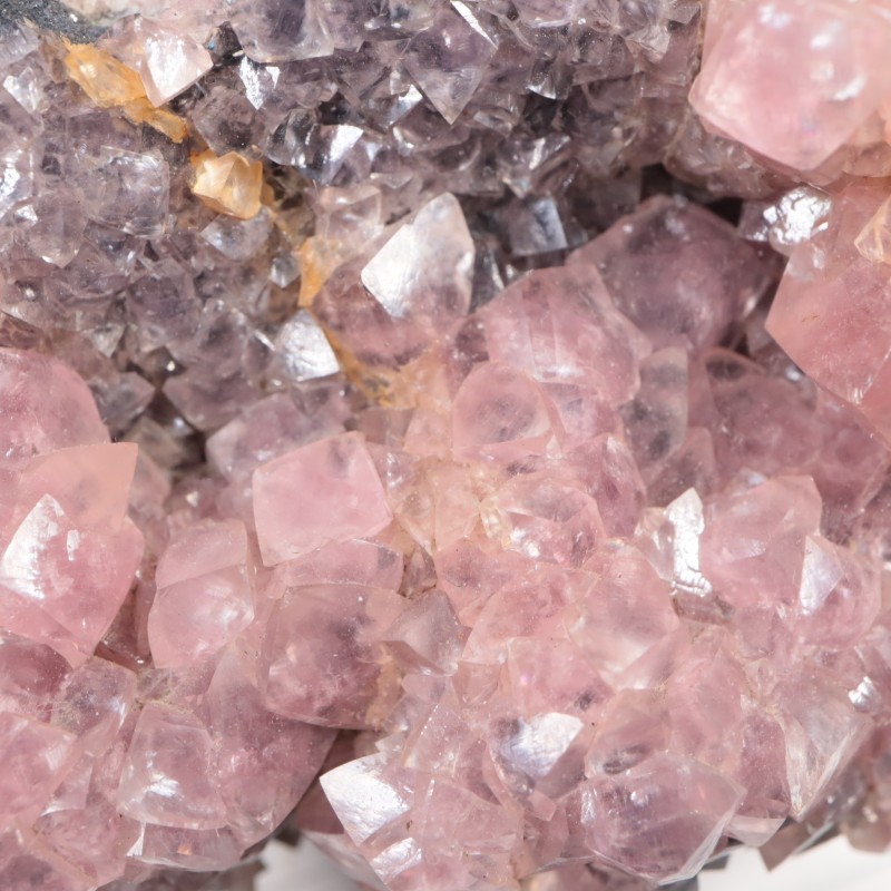 �ĥ�ֹۻ��� ���Х�ȥ��ߥ��ʥ���