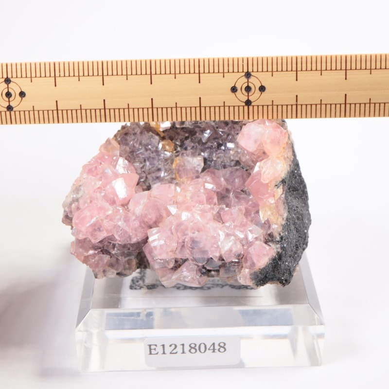 �ĥ�ֹۻ��� ���Х�ȥ��ߥ��ʥ���