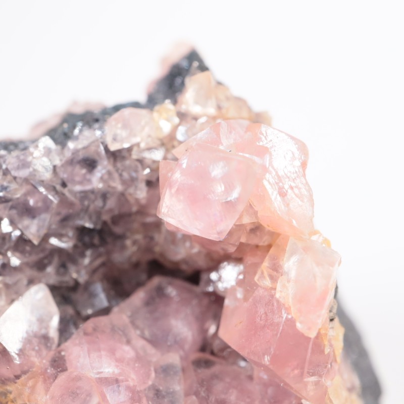 �ĥ�ֹۻ��� ���Х�ȥ��ߥ��ʥ���