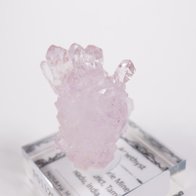 ����ɻ� ���᥷����