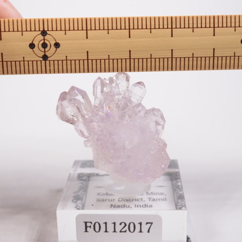 ����ɻ� ���᥷����