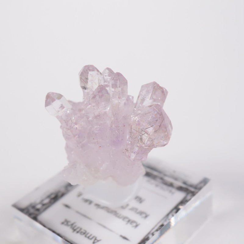 ����ɻ� ���᥷����