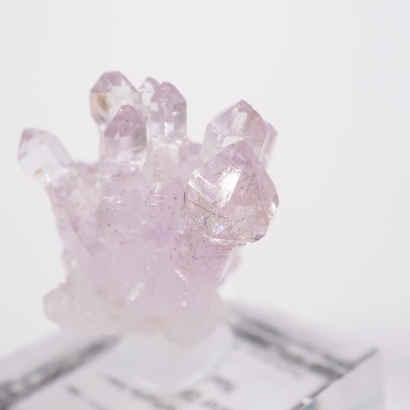 ����ɻ� ���᥷����