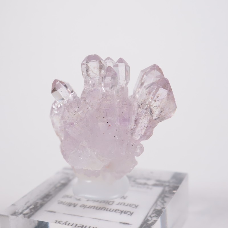 ����ɻ� ���᥷����