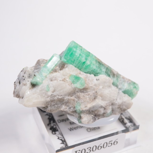 ��� �������