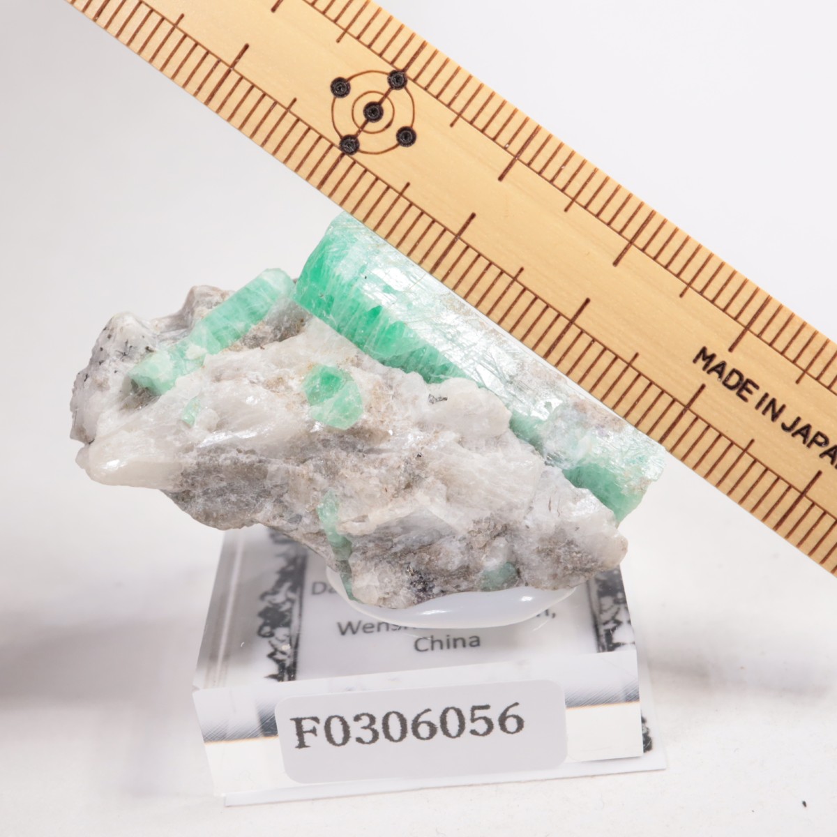 ��� �������