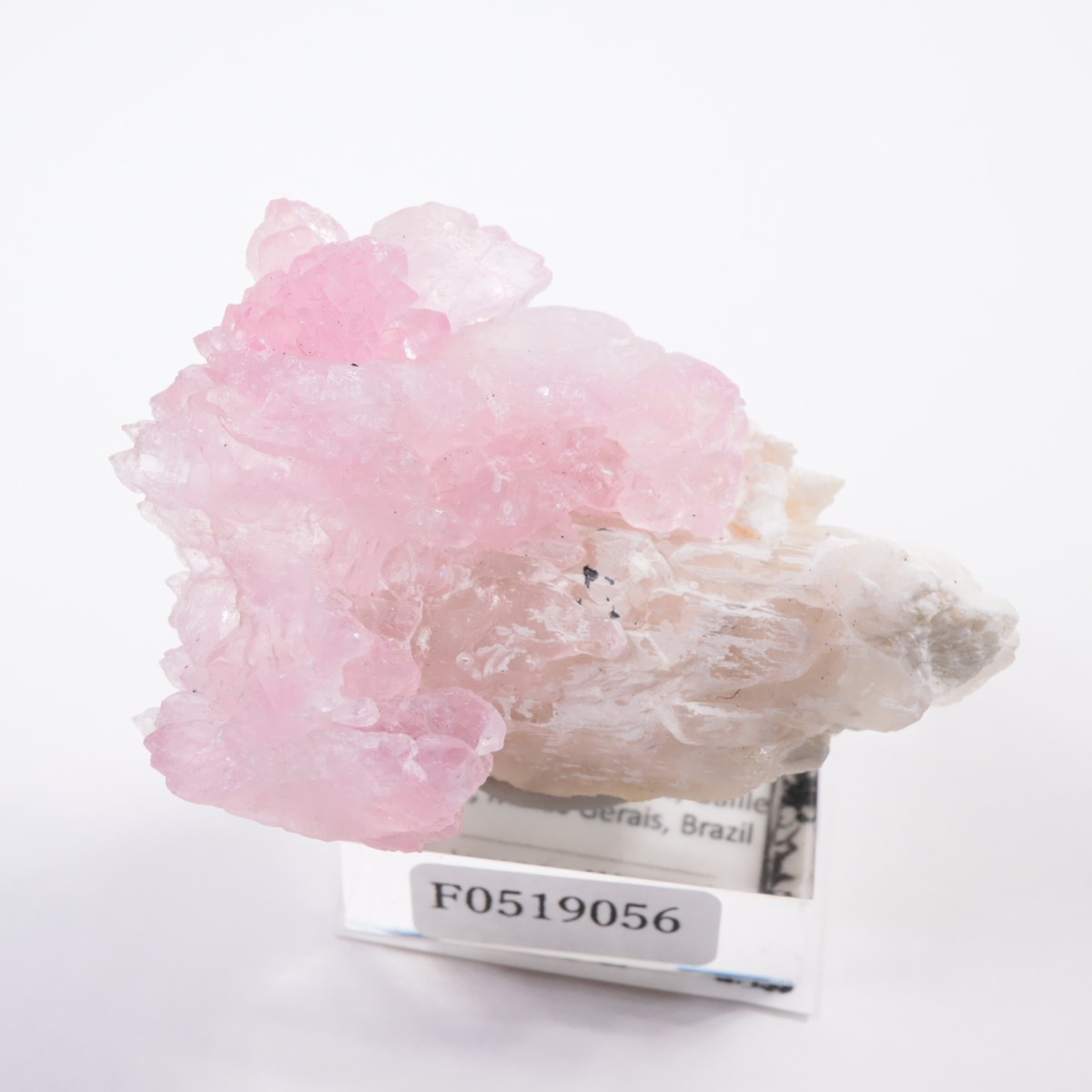 Pitorra claim�� ��������������