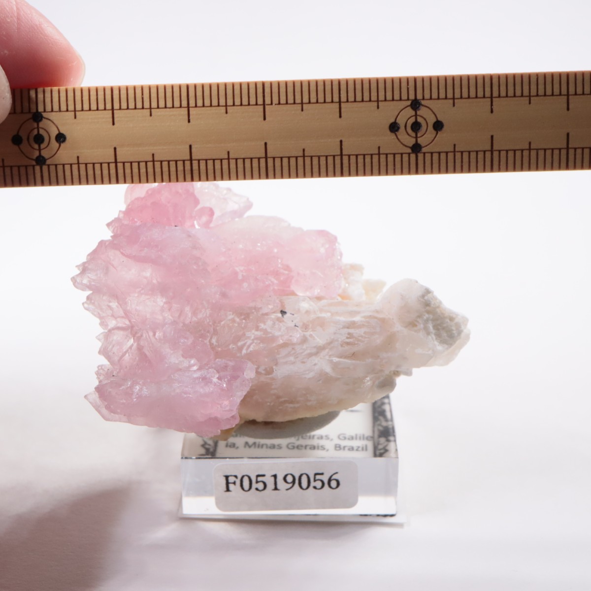 Pitorra claim�� ��������������