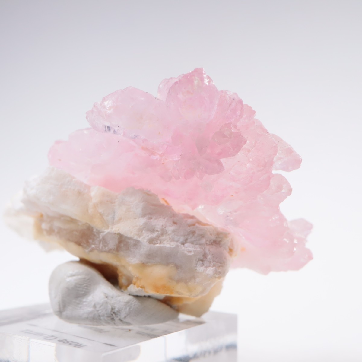 Pitorra claim�� ��������������