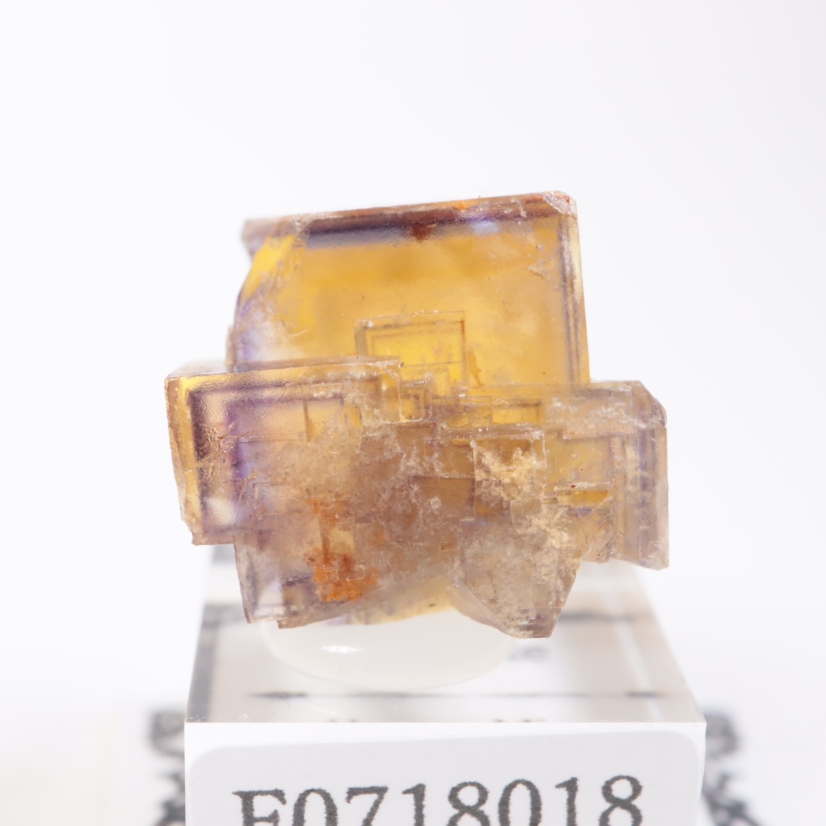 �ɥ��Ļ����ե����饤��