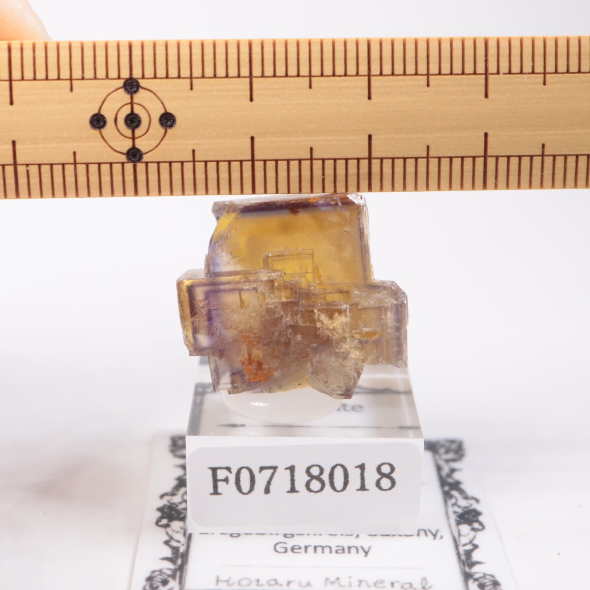 �ɥ��Ļ����ե����饤��