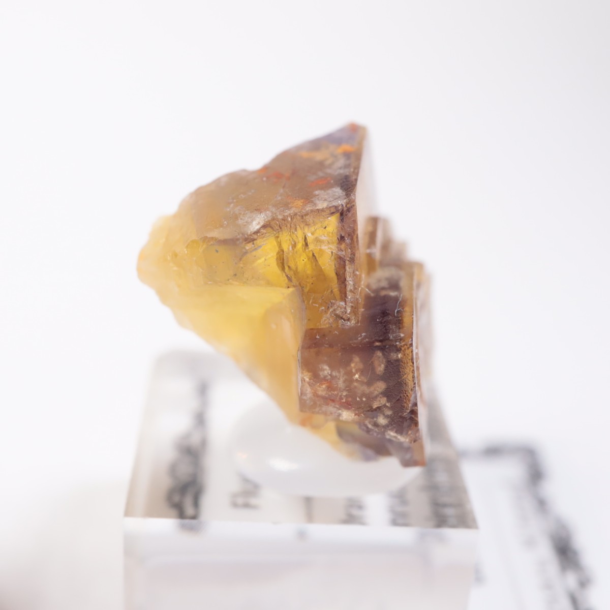 �ɥ��Ļ����ե����饤��