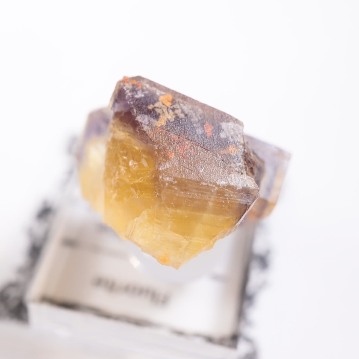 �ɥ��Ļ����ե����饤��