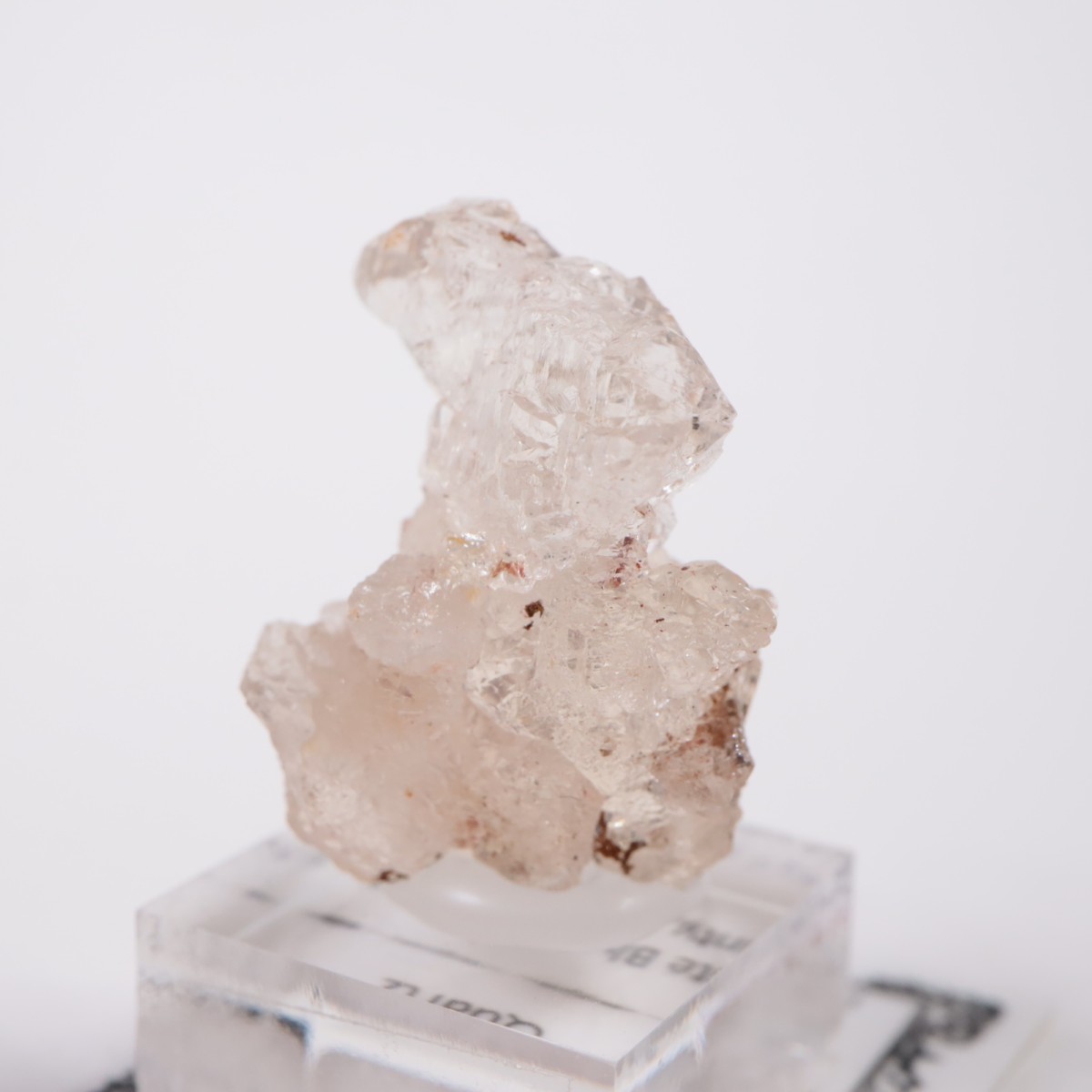 �Ρ��������饤�ʽ��� ��������