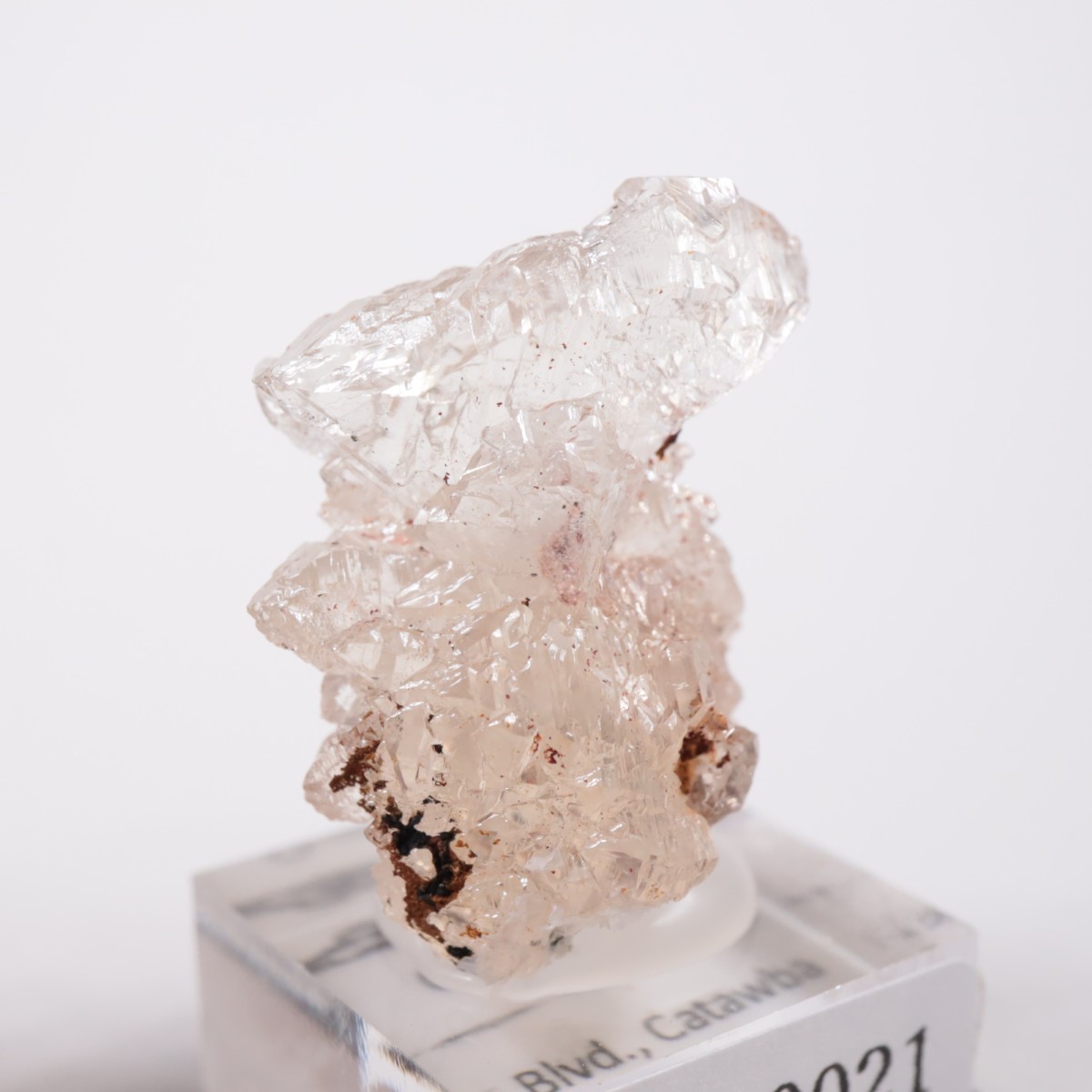 �Ρ��������饤�ʽ��� ��������