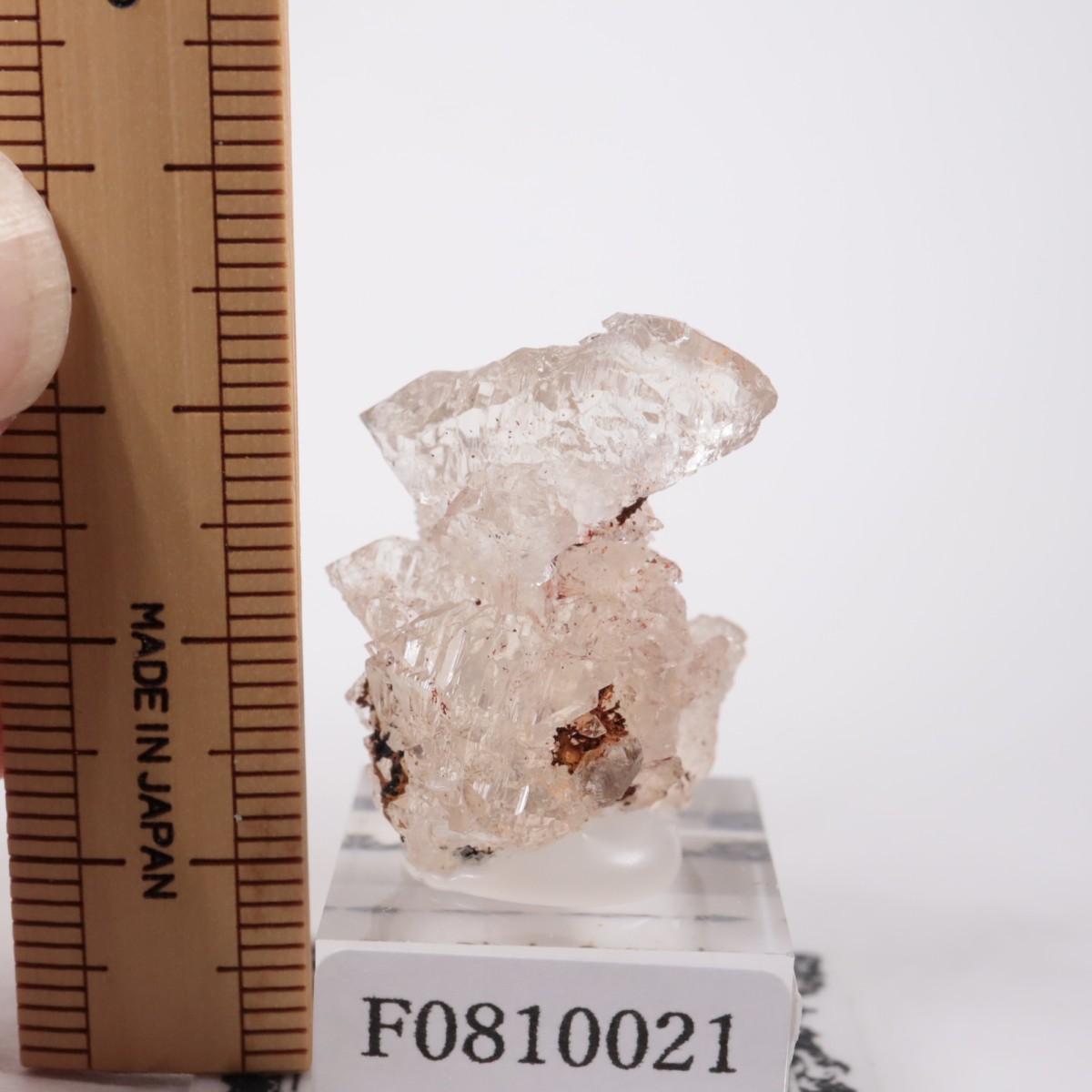 �Ρ��������饤�ʽ��� ��������