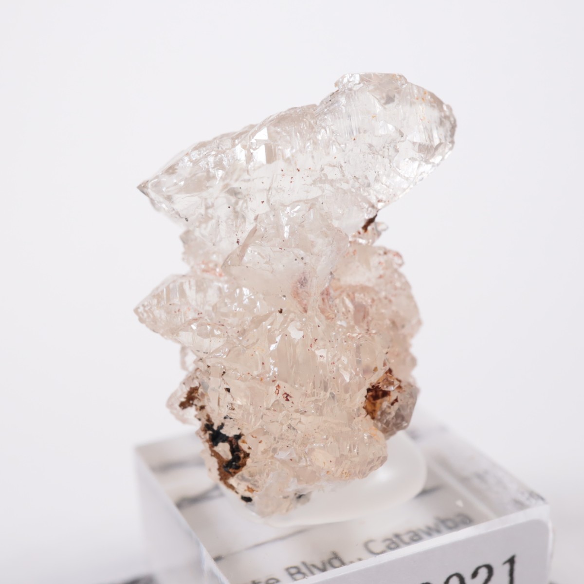 �Ρ��������饤�ʽ��� ��������