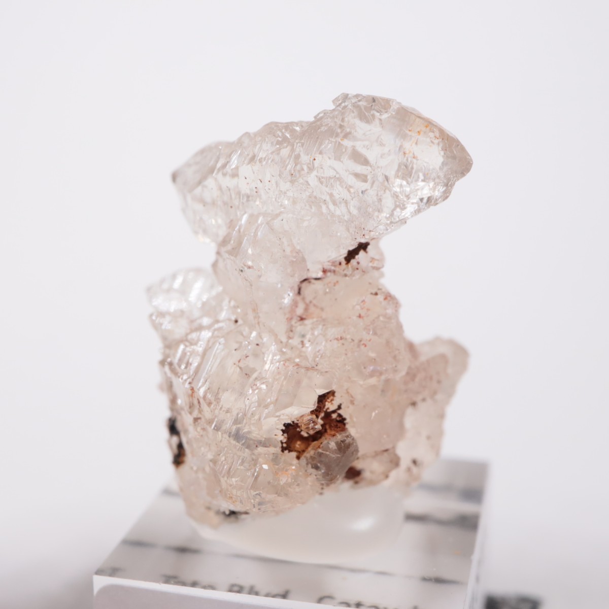 �Ρ��������饤�ʽ��� ��������