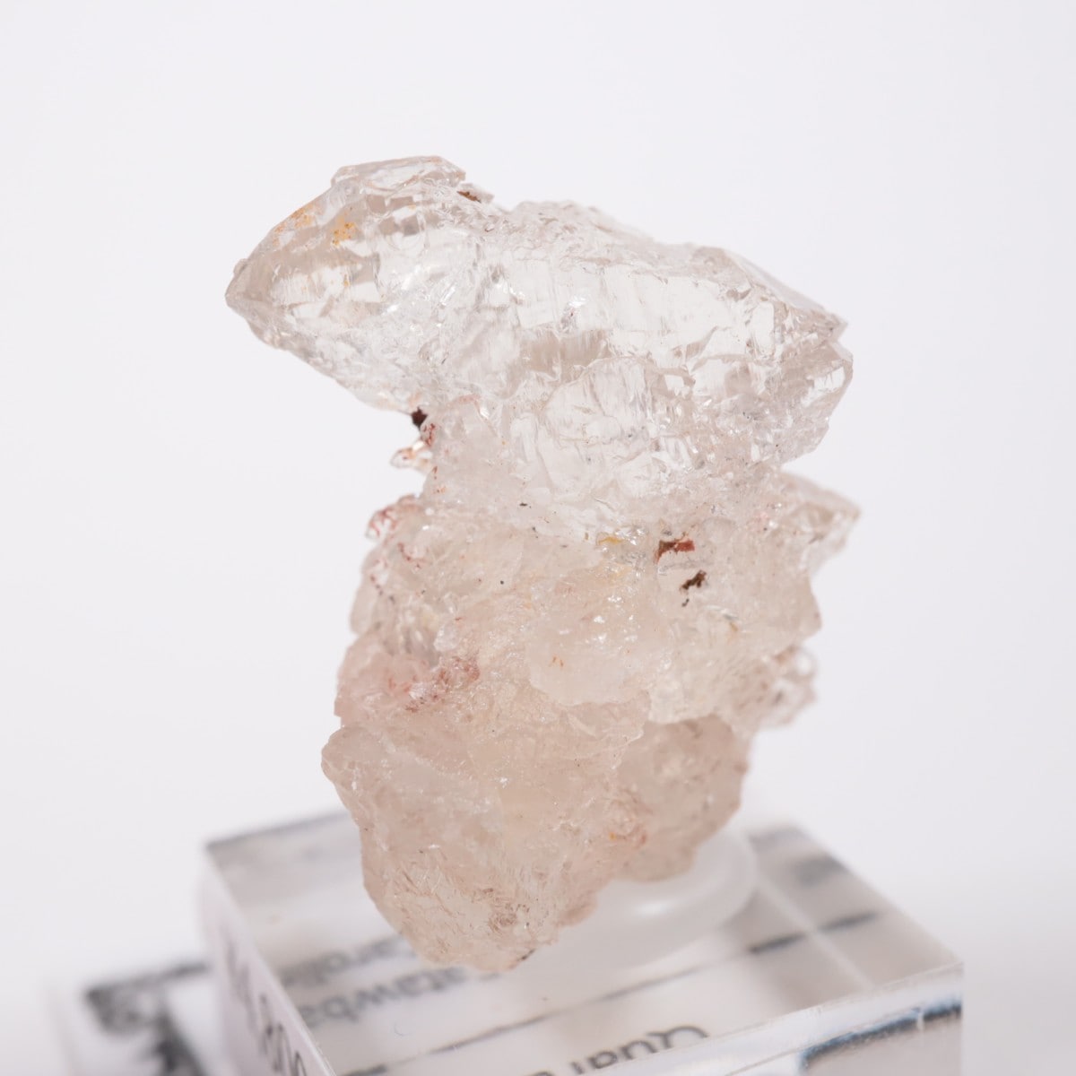 �Ρ��������饤�ʽ��� ��������