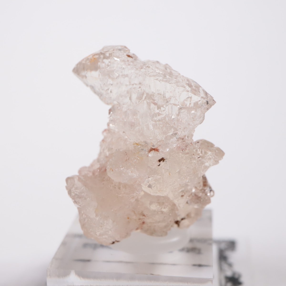 �Ρ��������饤�ʽ��� ��������