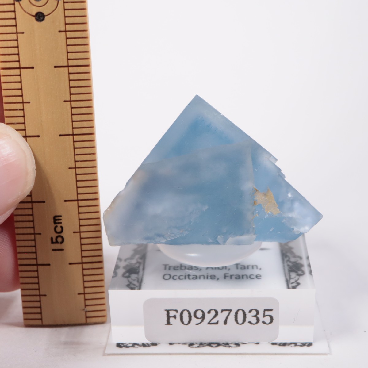 �ե�󥹻� �ե����饤��