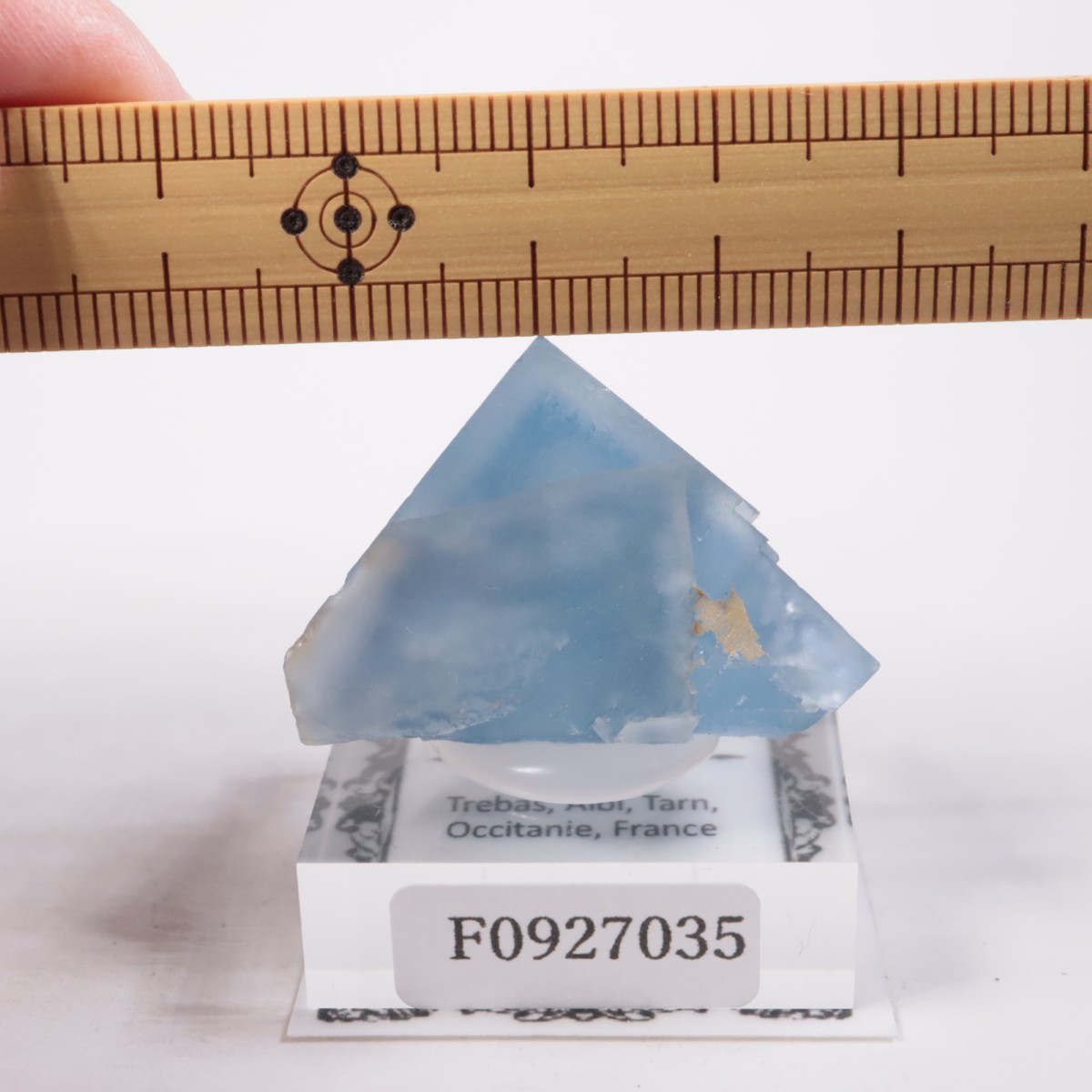 �ե�󥹻� �ե����饤��