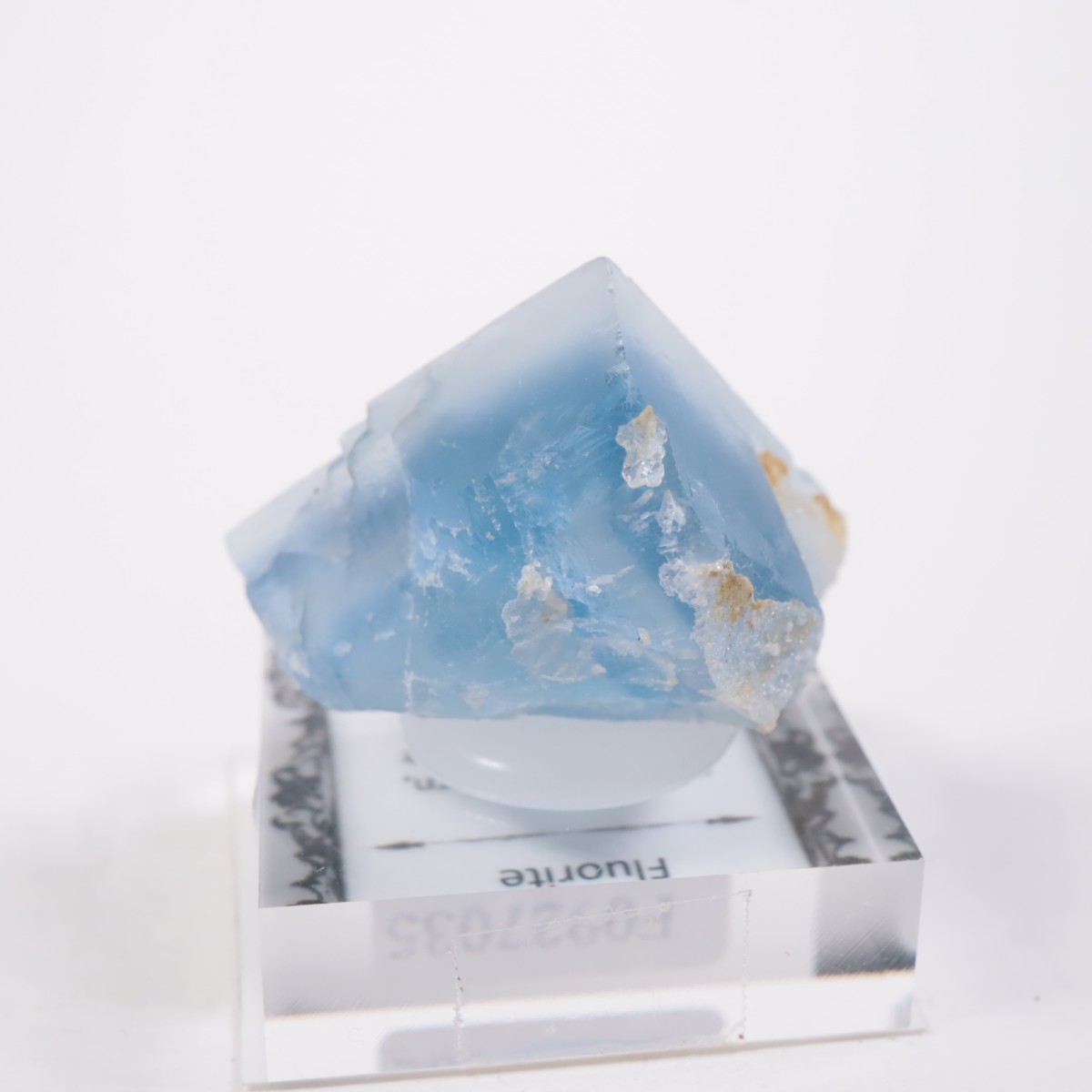 �ե�󥹻� �ե����饤��