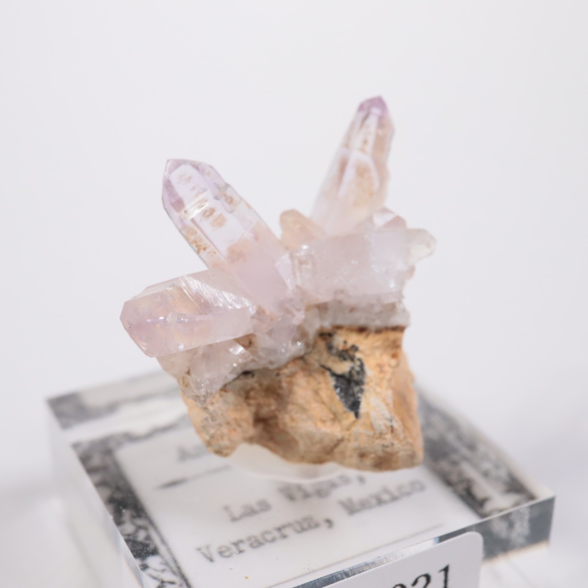 �٥饯�륹�� ���᥷����