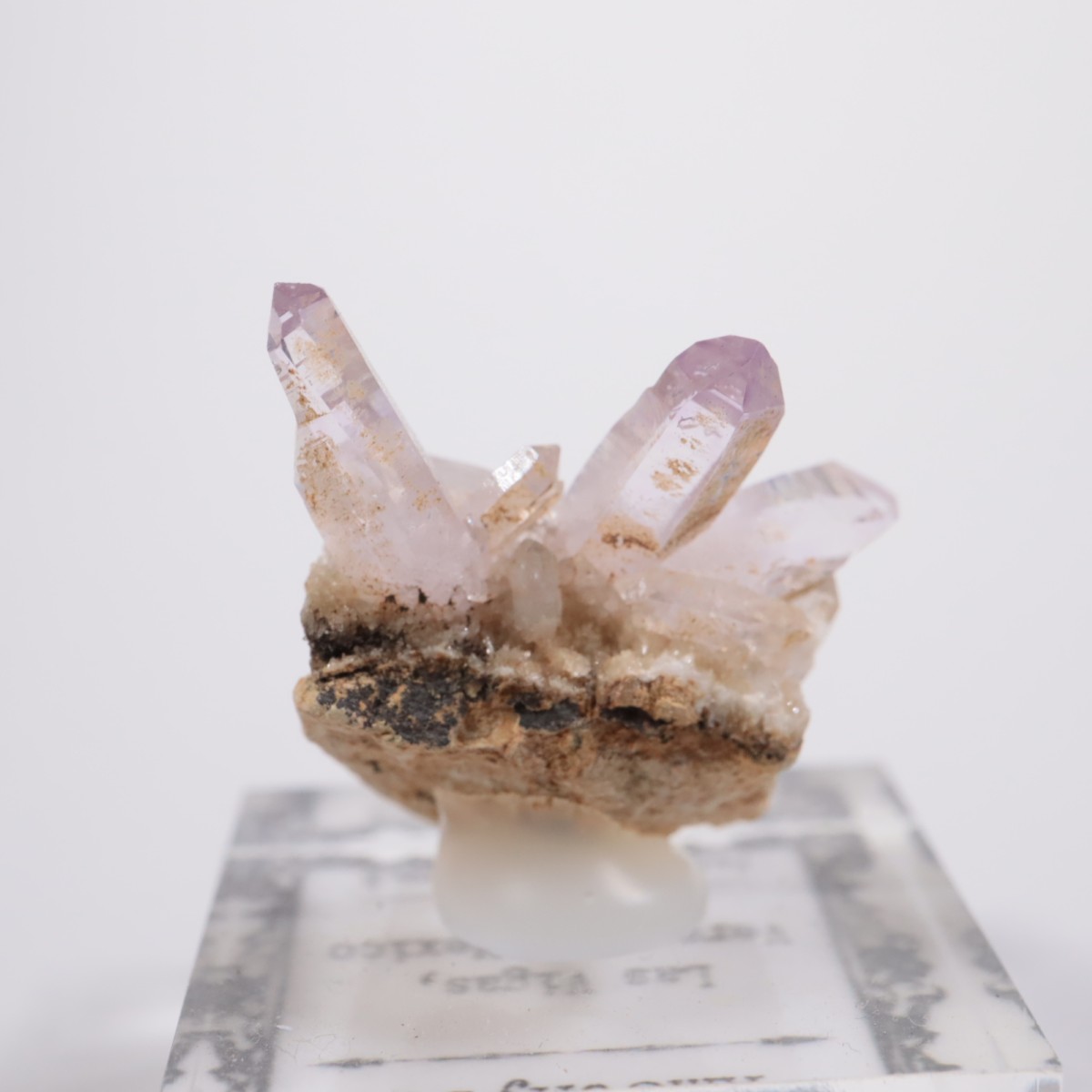 �٥饯�륹�� ���᥷����