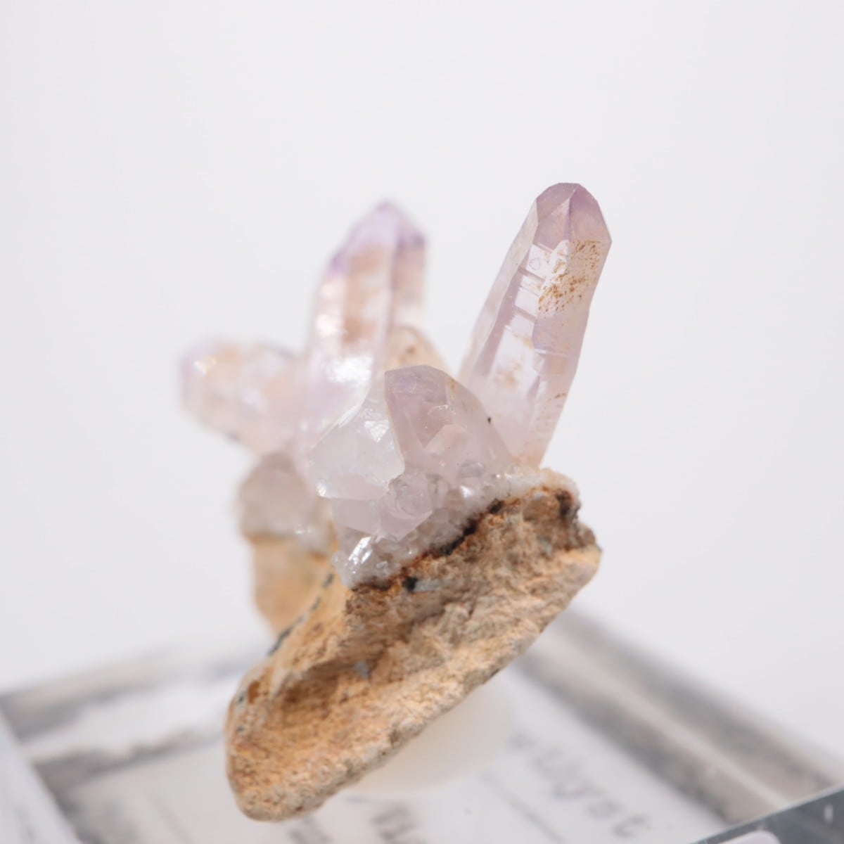 �٥饯�륹�� ���᥷����