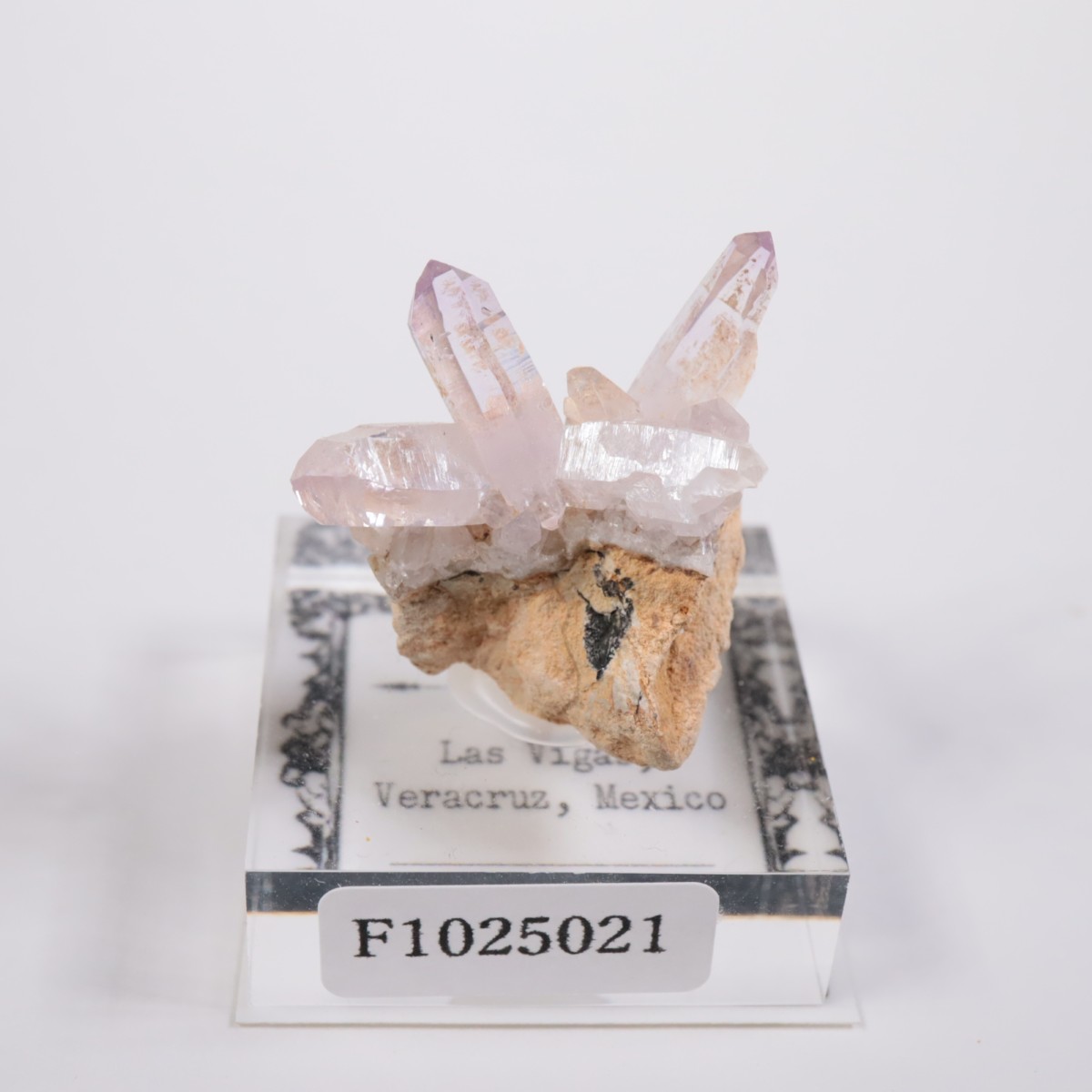 �٥饯�륹�� ���᥷����