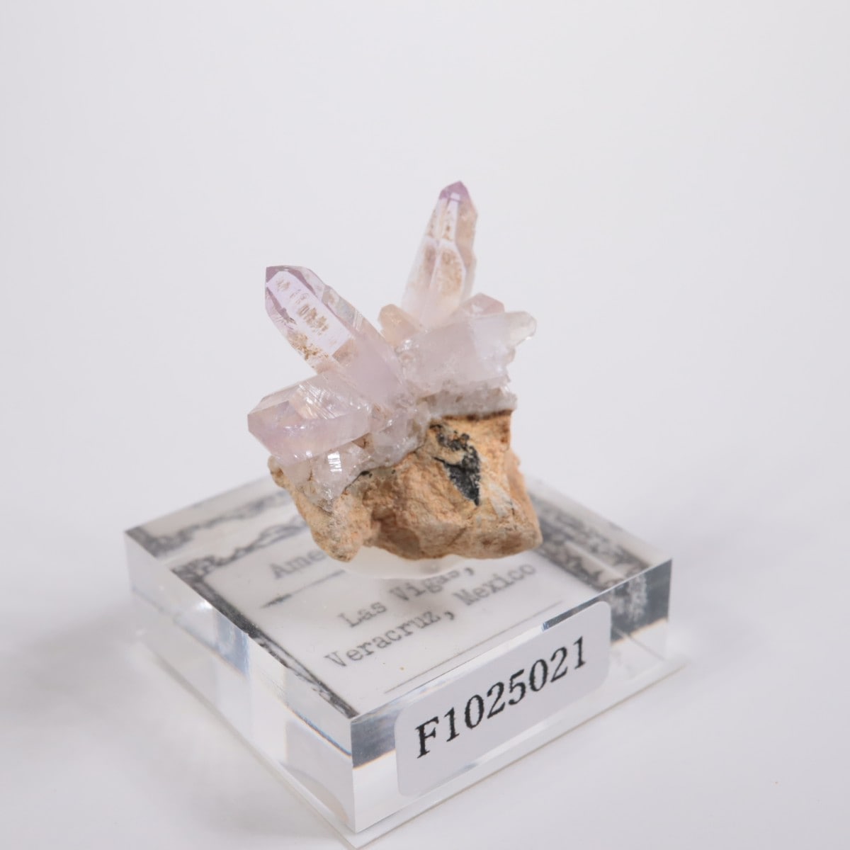 �٥饯�륹�� ���᥷����