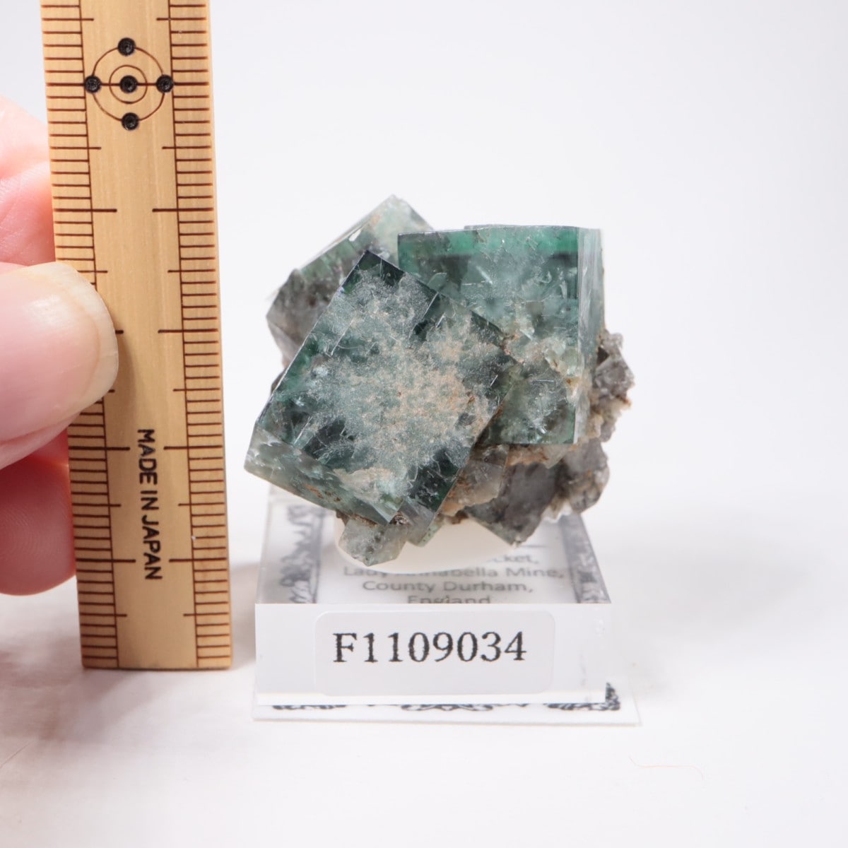 Fairy Holes Pocket�� �ե����饤��