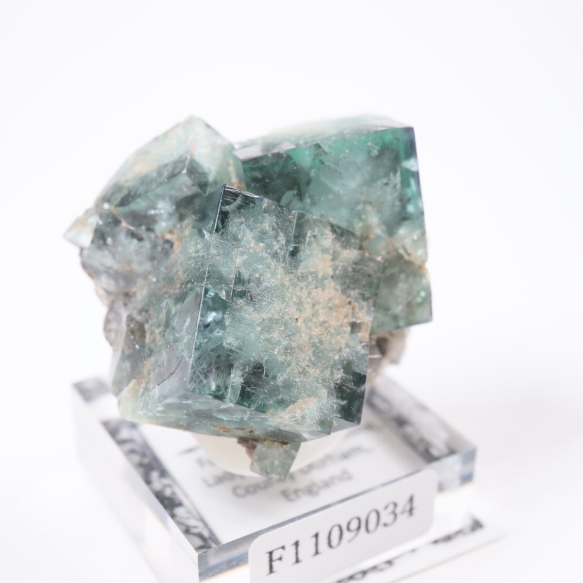 Fairy Holes Pocket�� �ե����饤��