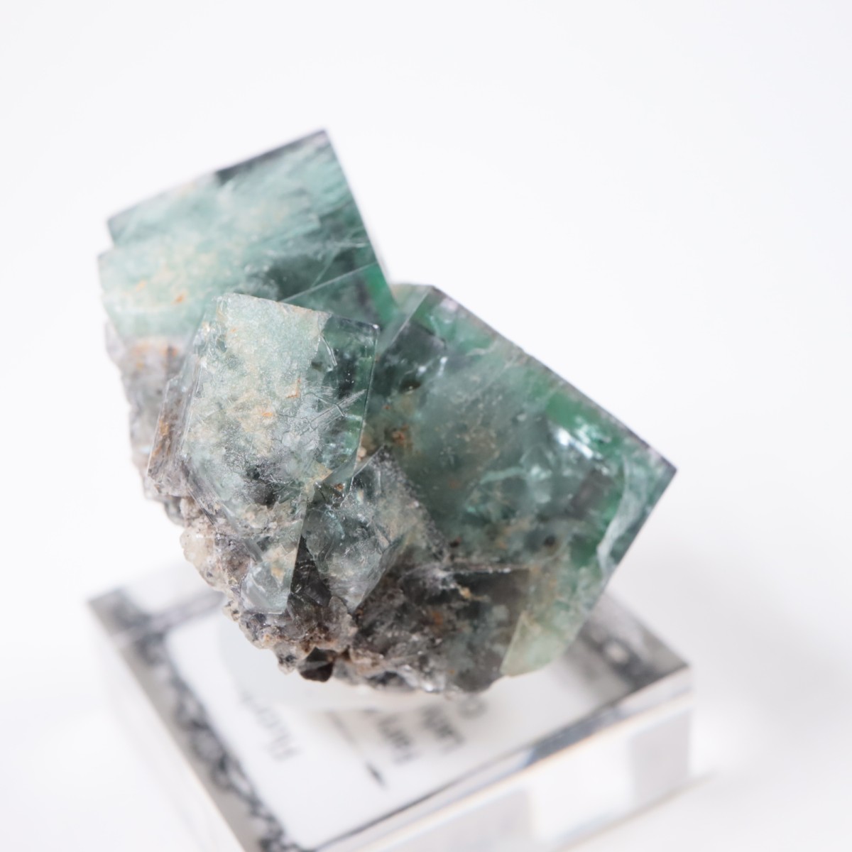 Fairy Holes Pocket�� �ե����饤��